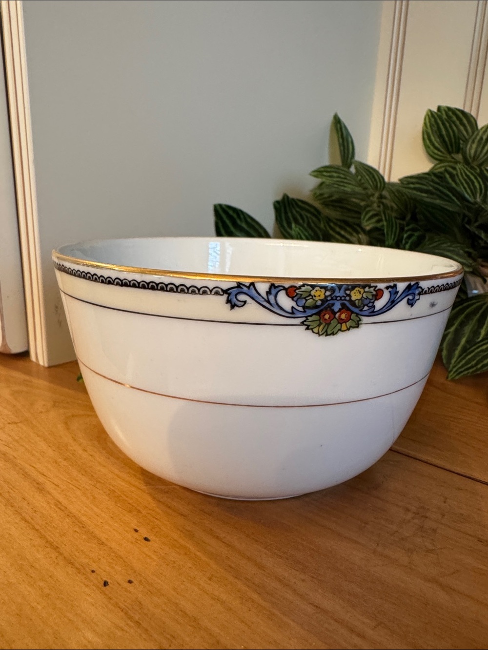 Noritake 1920’s Glenora hand painted bowl